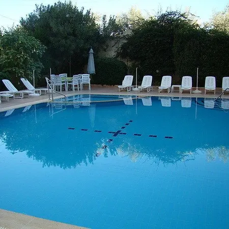 Kare Alanya